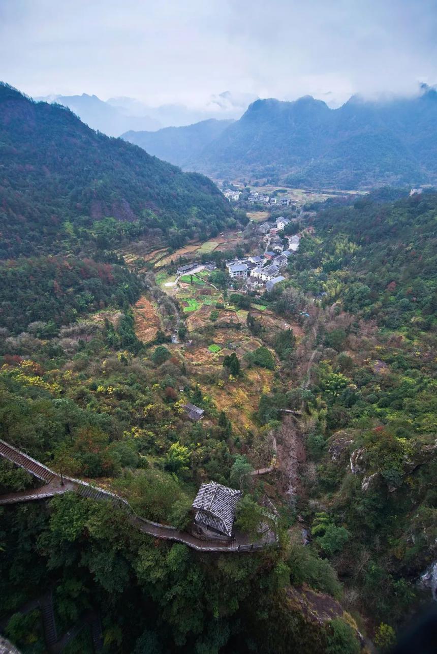 地道寻茶记-中国第一杯早春茶到底在哪里